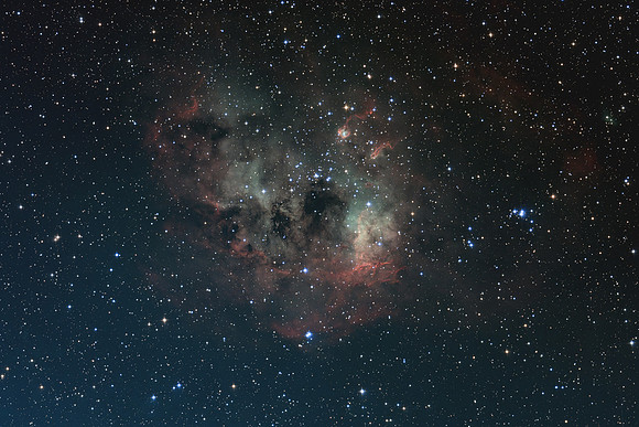 IC-410 Tadpoles Nebula