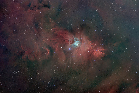 NGC 2264 Conehead Wide View